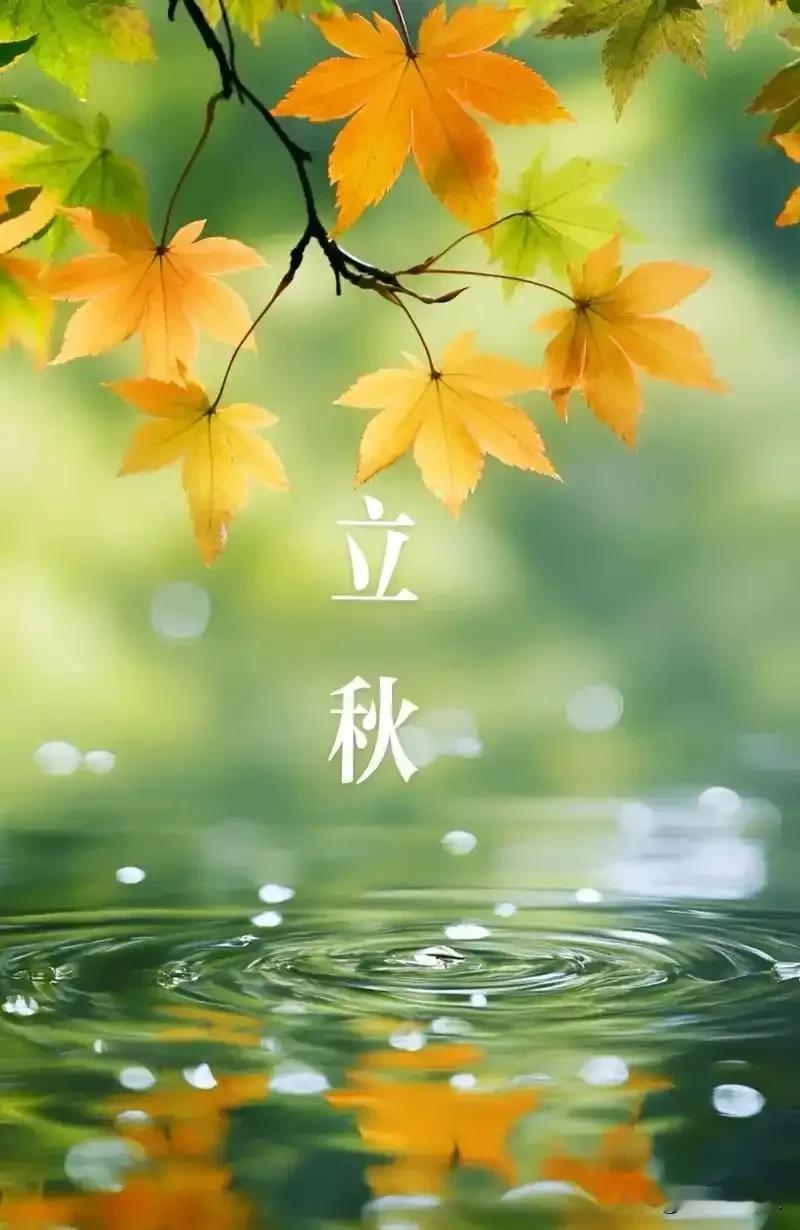 家人们，今天立秋啦！早上出门，骑着小电驴上班，明显感觉凉快了一点，没前几天那么闷