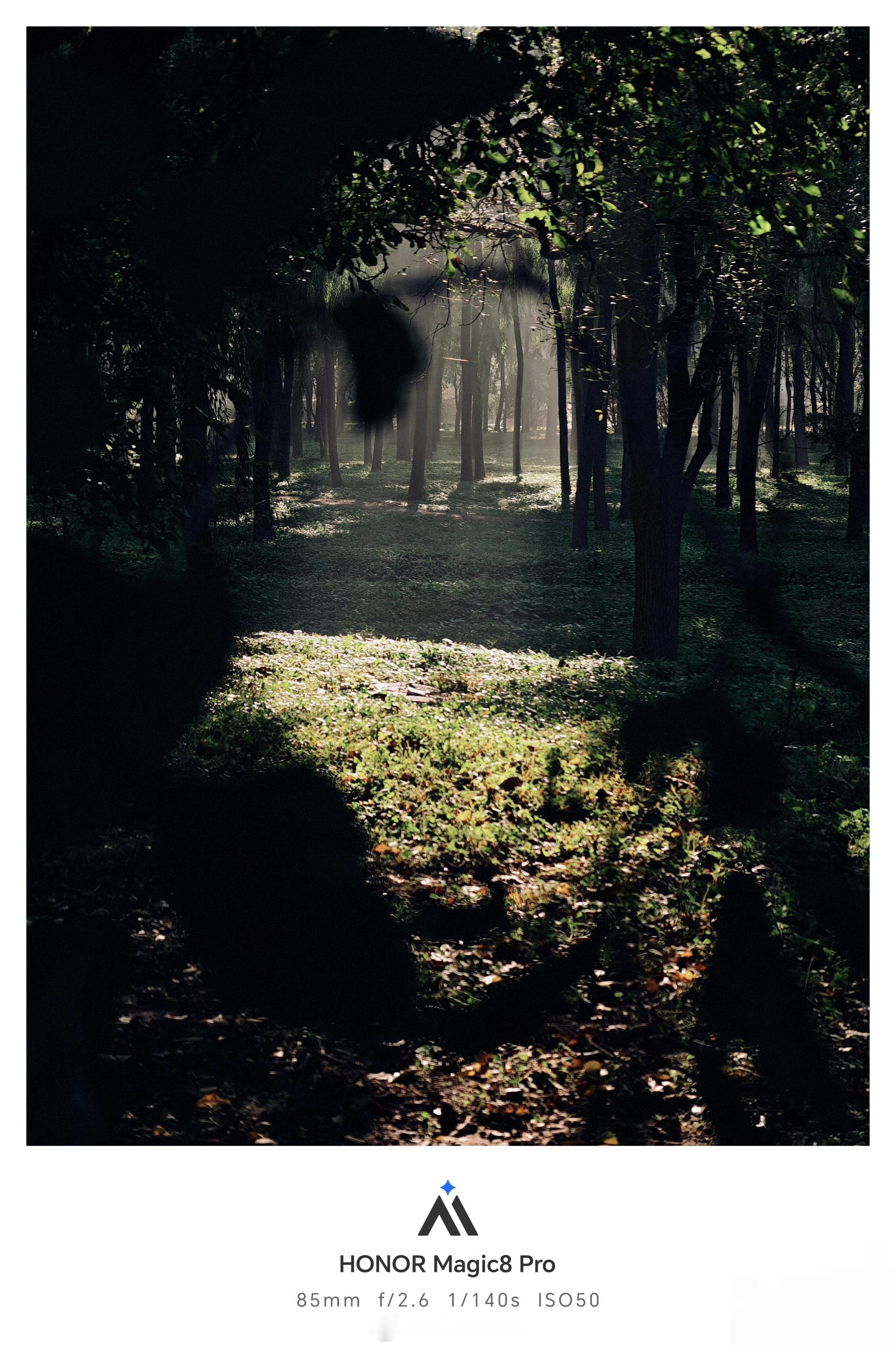 荣耀Magic8Pro新水印估计即将上线，这款新水印好看。 ​​​