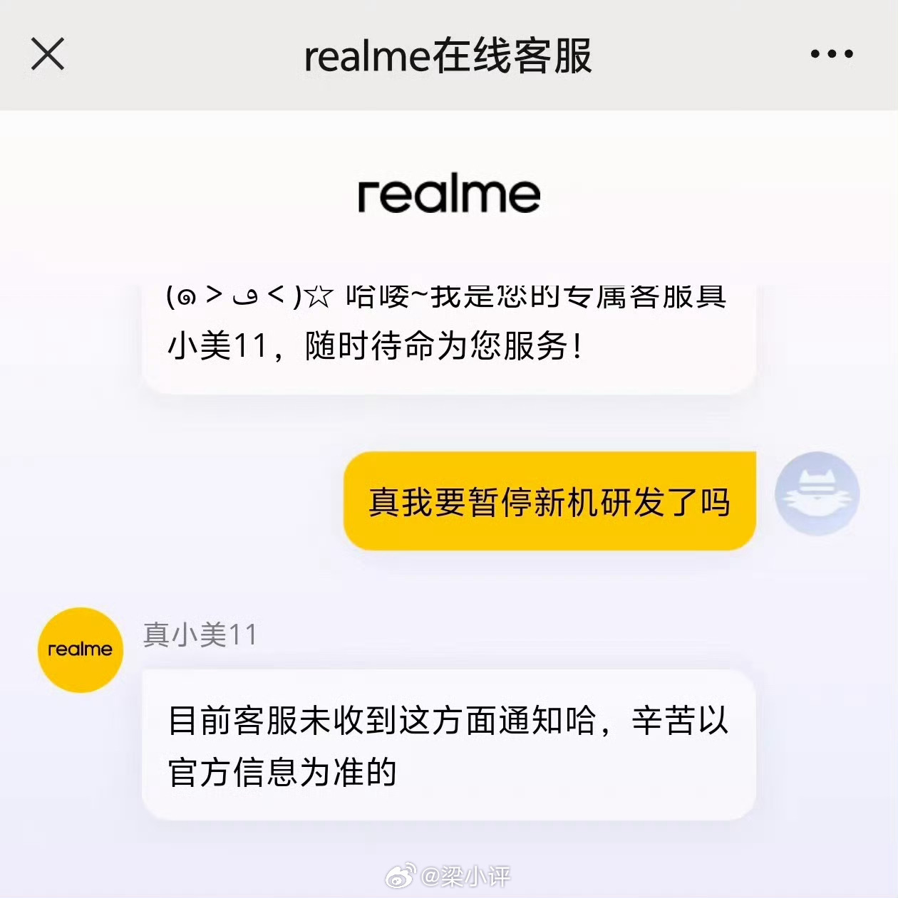 realme客服回应网传暂停新机研发：目前没有接到相关通知。接着往下看吧……反正