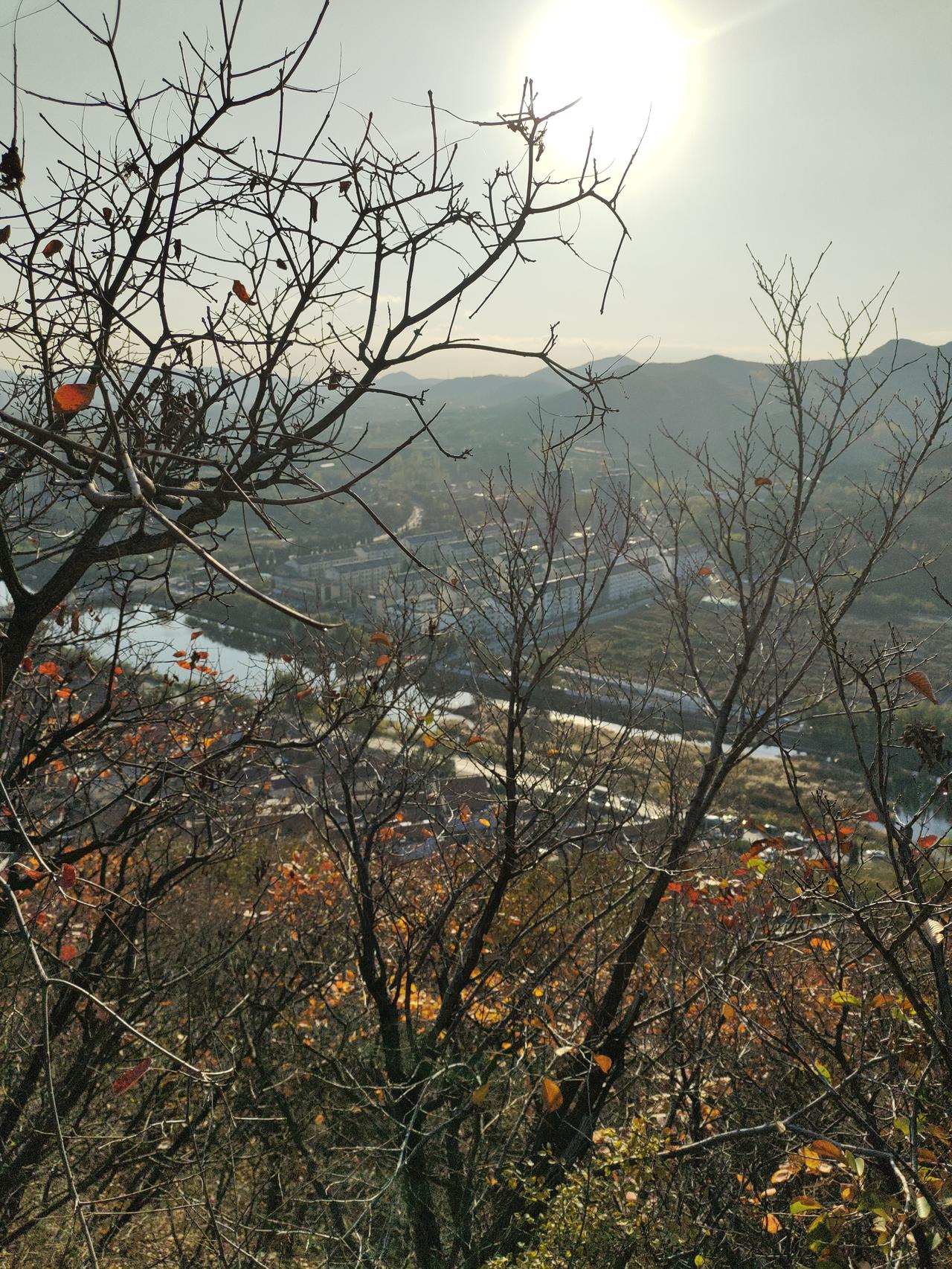 秋天的景色真美。天高云淡，视野开阔，远处的青山、蜿蜒的河流都清晰地铺展在眼前。秋