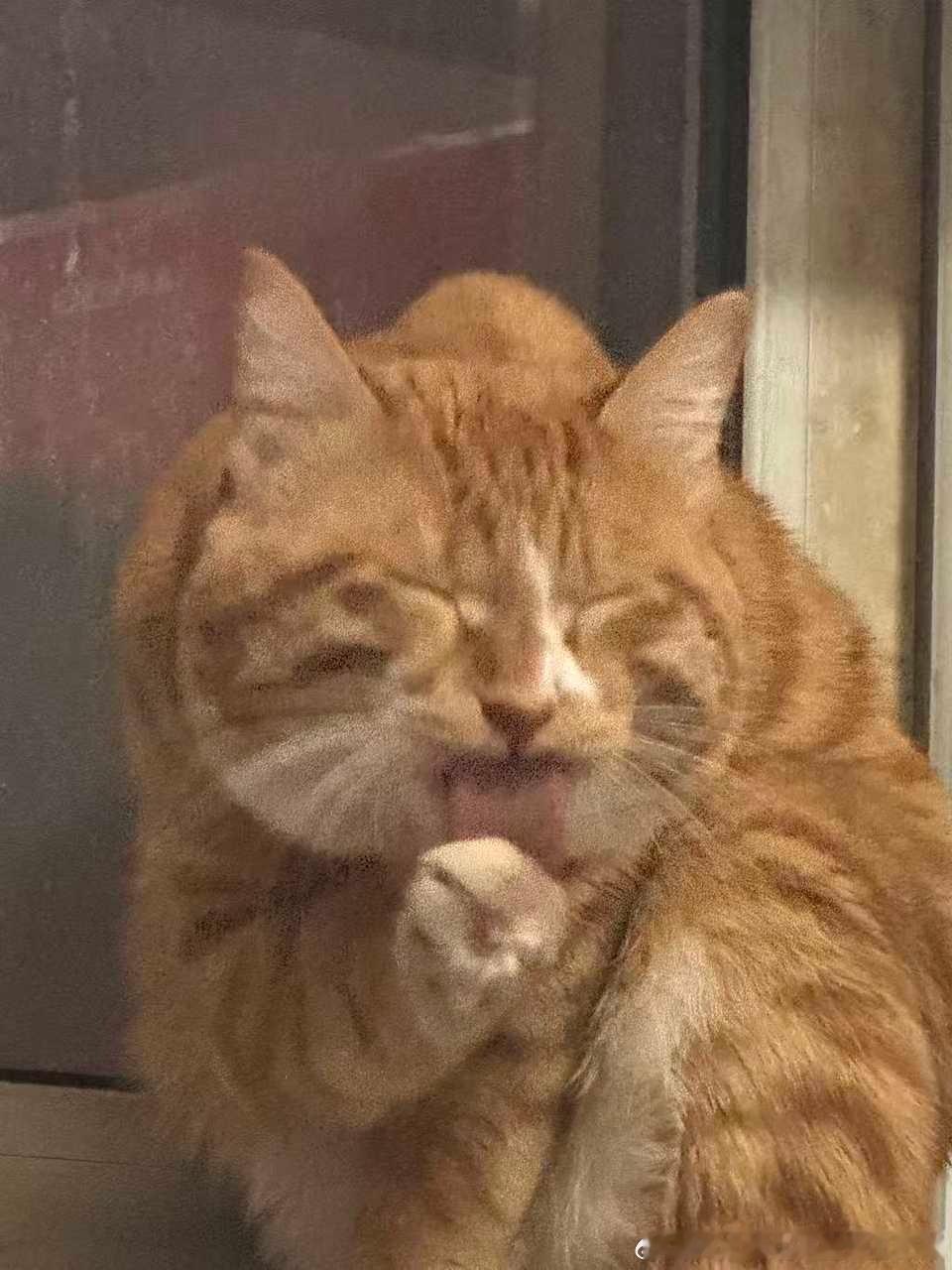 49534【丑猫】亲友家的猥琐大叔 