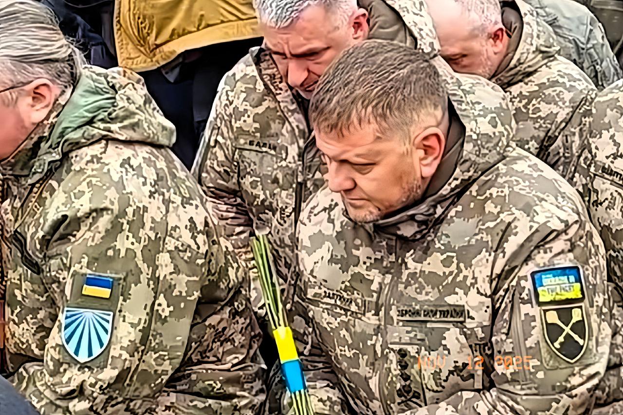 真相大白，情以何堪！“北溪”背后的大水鱼，终于被揪出来了！德国最新调查结果让人跌