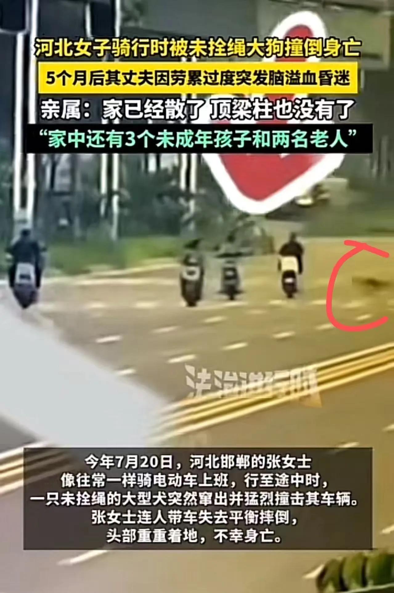 真是祸不单行，命运跟这一家子开了一个残酷的玩笑。在河北，一个女子在骑行时突然被未