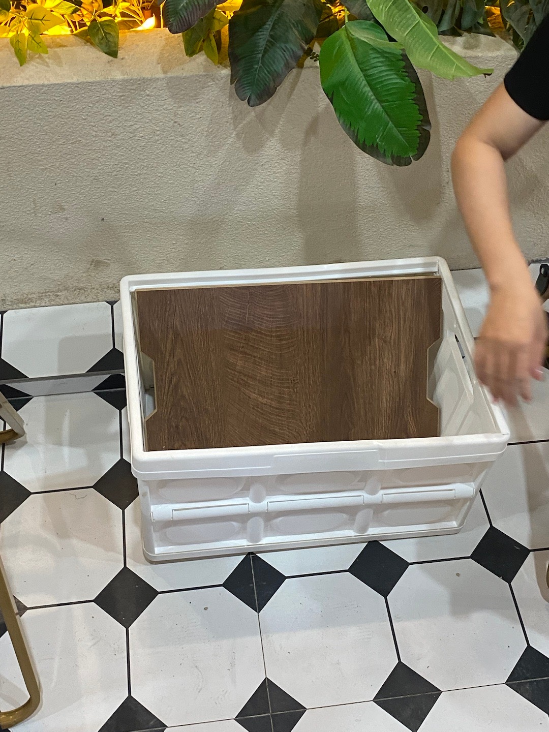 哈哈哈鸭子以为这个是凳子一屁股下去坐塌了 ​​​