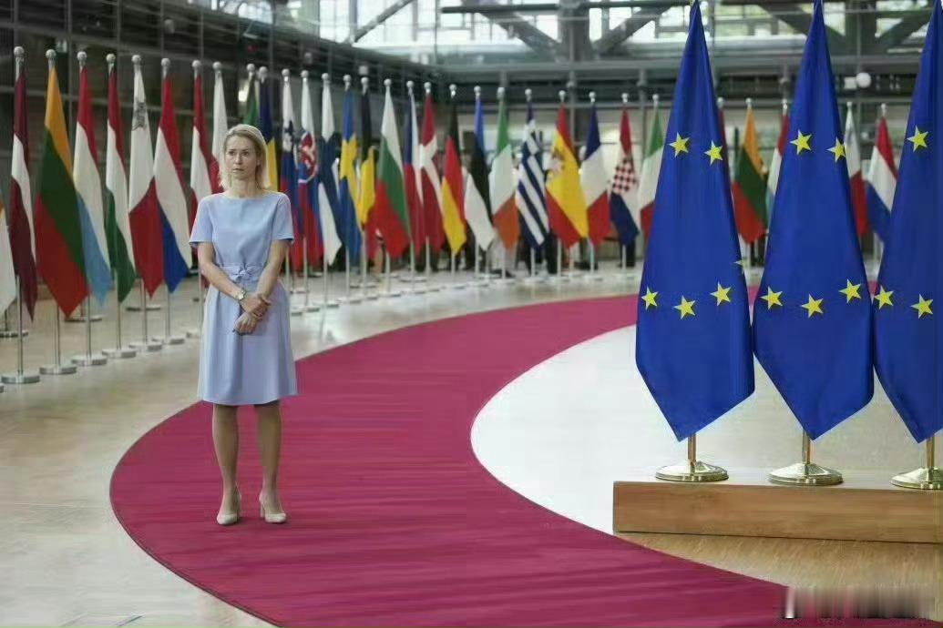 欧盟外长认为，欧盟乐见俄乌谈判获得成果，但欧洲应该在谈判桌上拥有席位。 