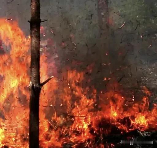 暑观
赵权力
卧龙呻吟昏睡长
火球险恶太疯狂
不见闹市人成行
瀑布倾泻头起浪