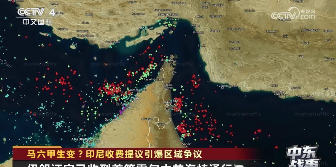 4月，印尼高官随口抛出的一句话，差点把全球航运圈的桌子给掀了。

谁能想到，他们