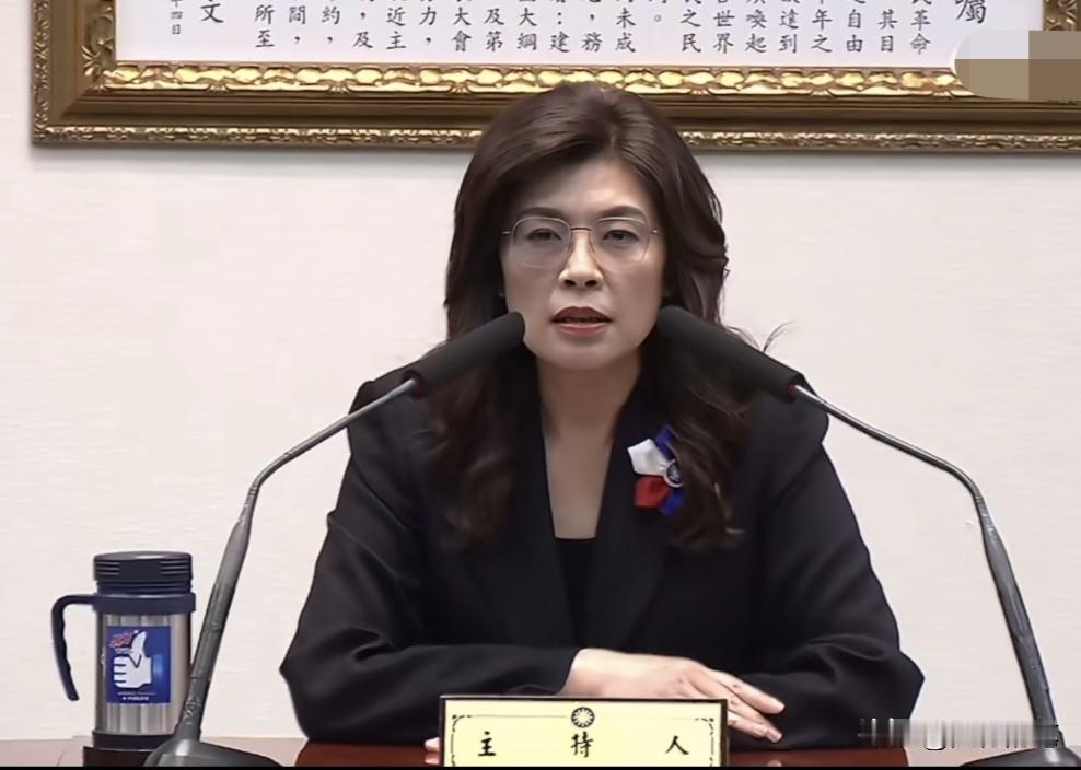郑丽文访美前夕，在记者会上表示“今年上半年发生两件对两岸攸关重大的国际事件，一是