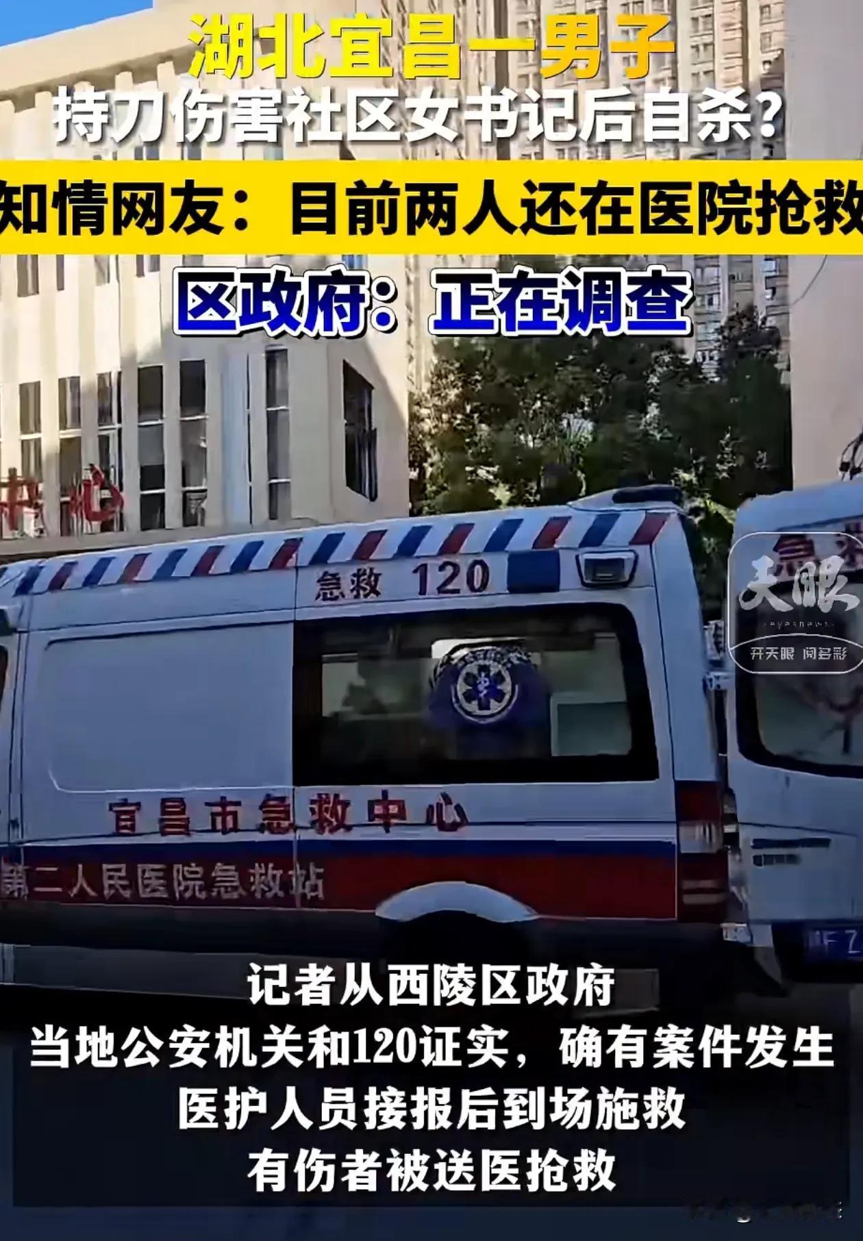吃大瓜了，湖北宜昌一男子持刀捅伤了女书记又自杀？2024年10月25日，湖北省宜