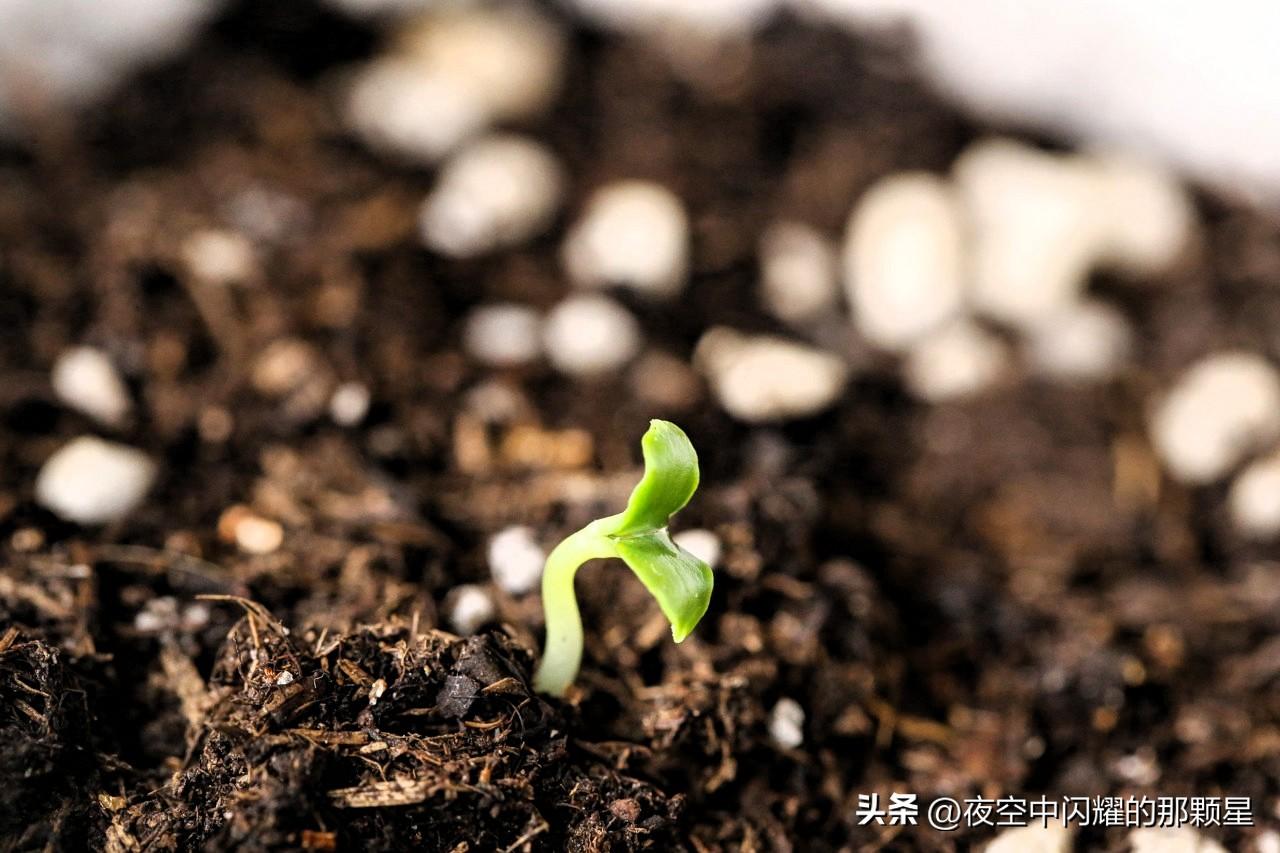 三分天注定，七分靠打拼。出身与际遇或许是我们无法选择的剧本，但如何演绎、如何改写