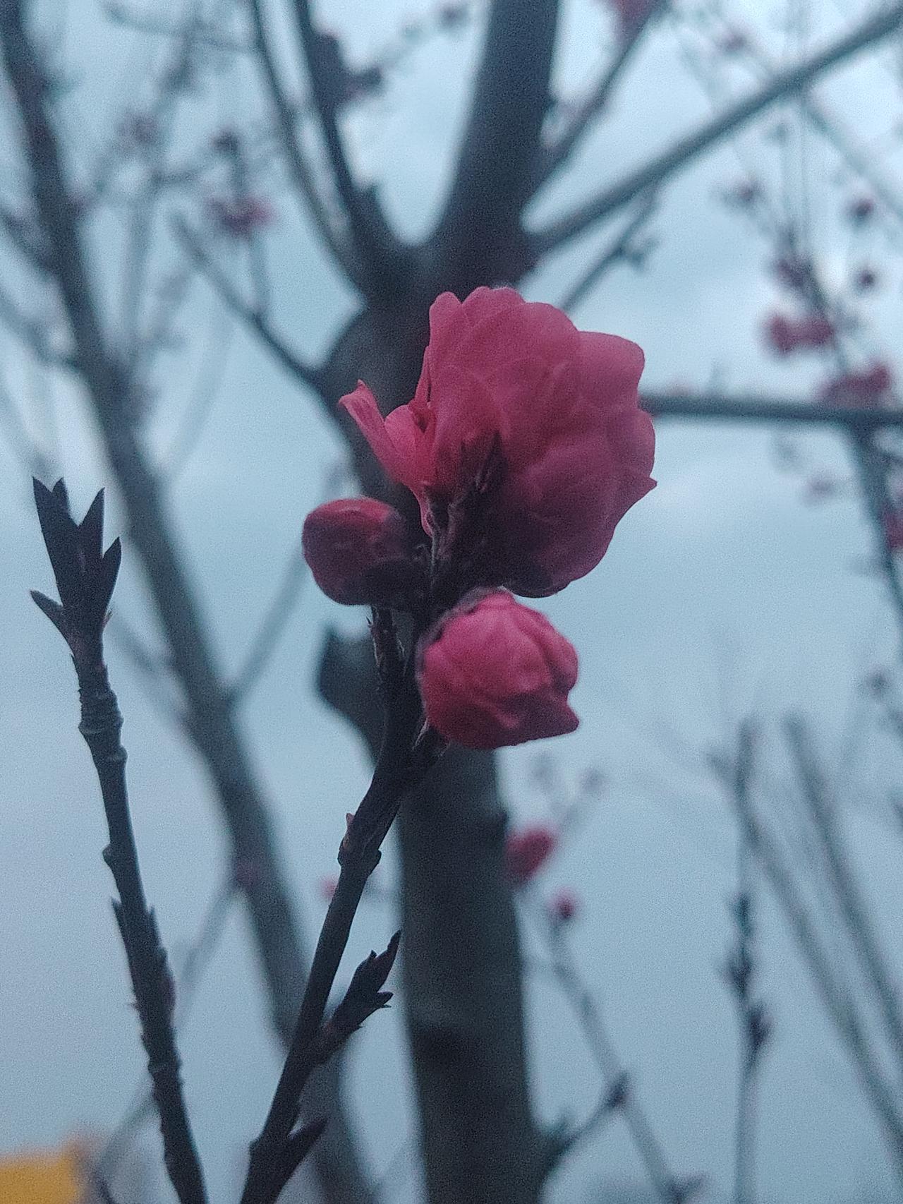 尝过苦、受过伤后，你怎样读懂生活中的珍惜？
尝过苦、受过伤后，你才会明白，生活并