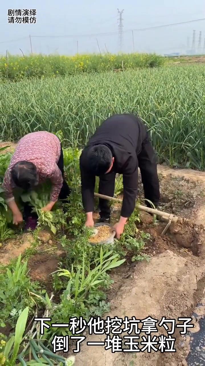 儿子种玉米拿杯子往坑里舀，下一秒母亲看到赶紧阻止他。
母子两个在地干农活，只见儿