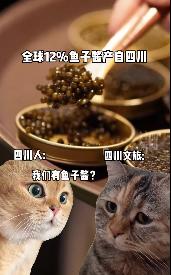 #给尔滨回礼时才知道川川有多陌生#伴随着哈尔滨的走红，各地亲戚来东北旅游，大家也