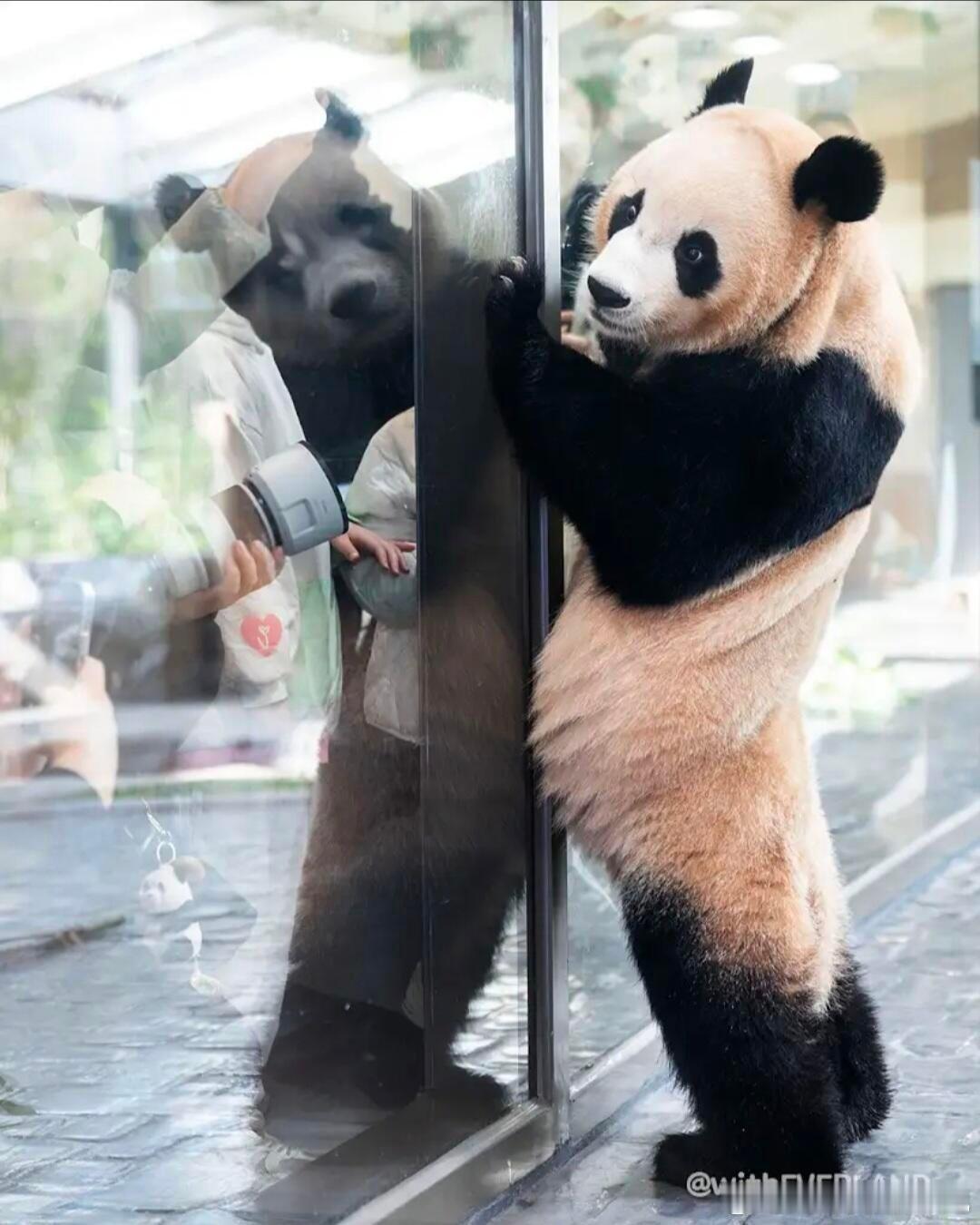 睿宝的D型小肚子