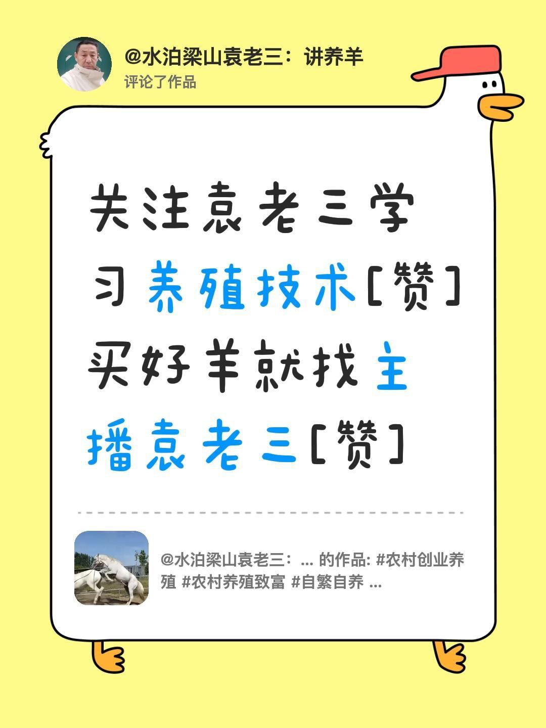 我评论了@水泊梁山袁老三：讲养羊 的作品：
关注袁老三学习养殖技术[赞]
买好羊