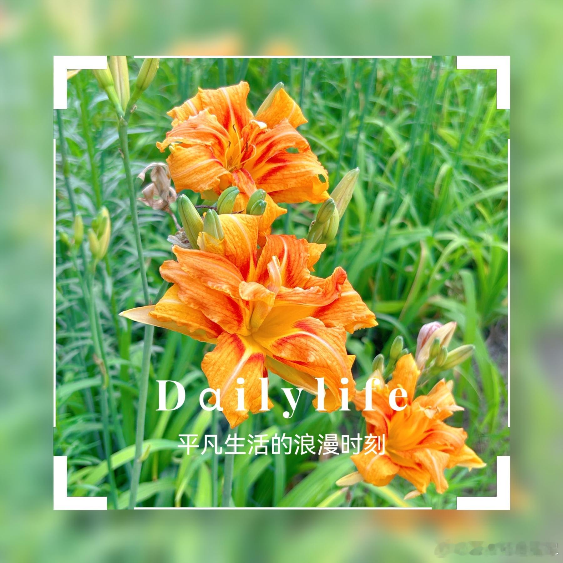 #早安# 时光静好，岁月悠长，把身体照顾好，把喜欢的事做好，把重要的人待好，你要