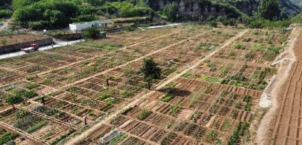 山东济南一名男子把家里10亩地分成200份挂到网上出租，按月收费，结果不到10天