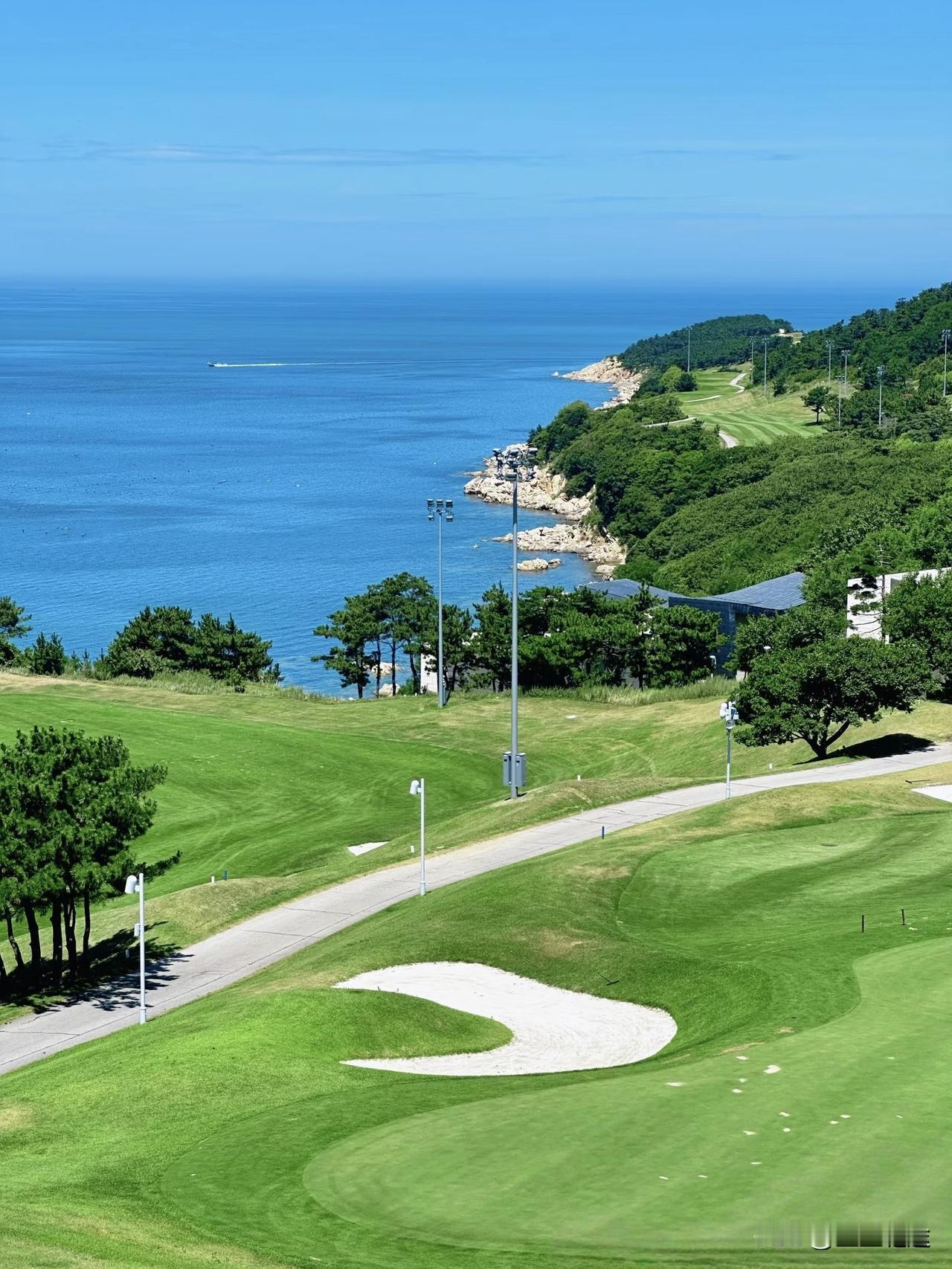 总以为自己足够大度，哪怕满心委屈，也会笑着示人，习惯性顾及所有人的感受，永远把别