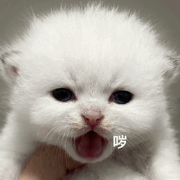 分享图片 ​​​