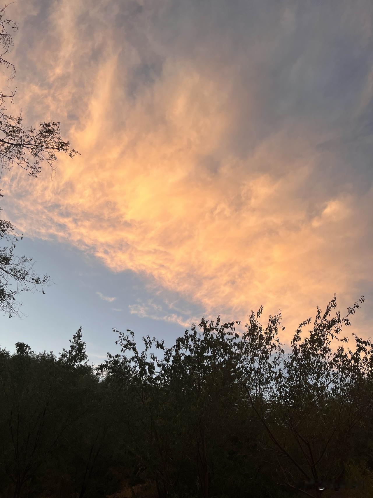 粉红色的云朵
如少女娇羞的脸庞
一抹温柔的色彩
轻盈飘荡
云间那悠悠的相思
盈满