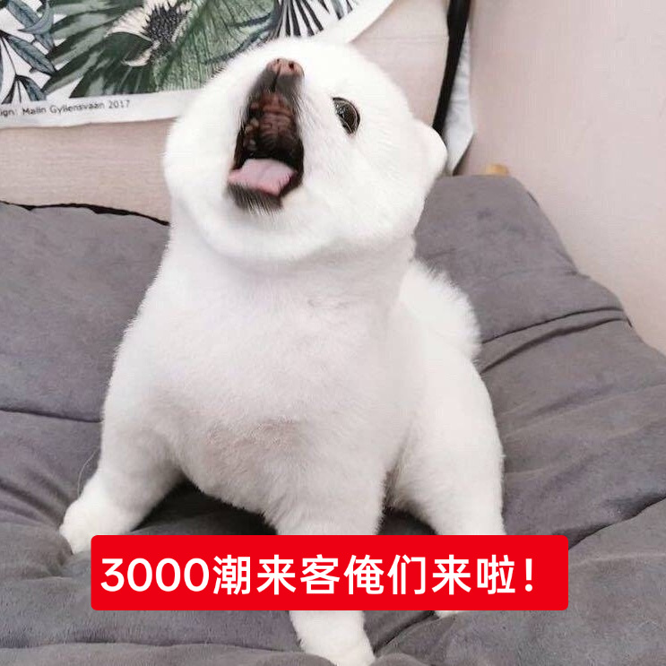 等待3000 