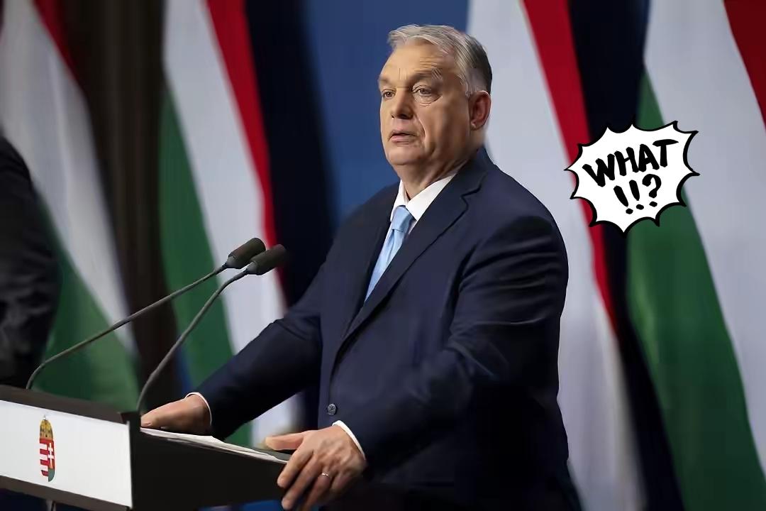 欧儿班乱了方寸！
当地时间23日，匈牙利总理欧尔班表示，他已指示司法部长立即调查