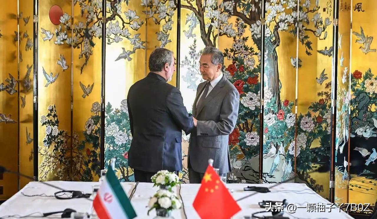 6月22日，王毅在新德里出席金砖相关会议，抽空会见伊朗高官内扎米普尔。
近期中东