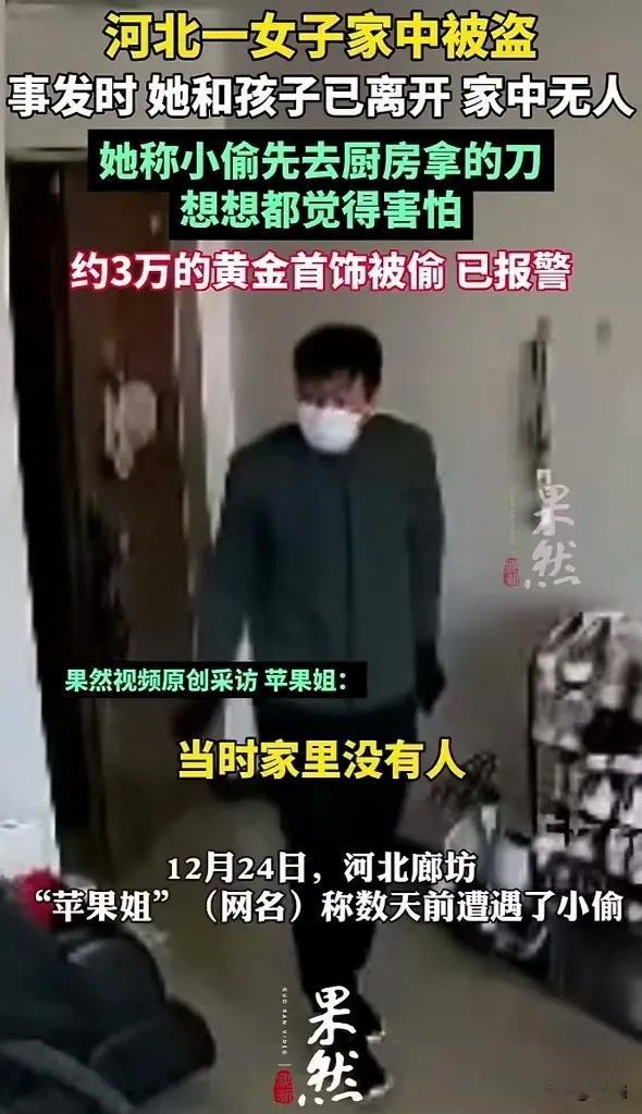 太惊险了！河北廊坊，一女子家中无人被盗，幸好事发时她和孩子已离开家中，女子：小偷