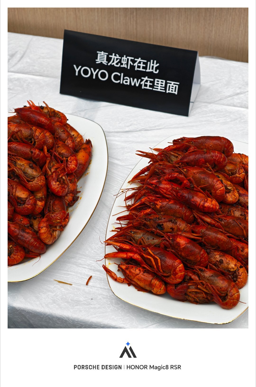 来参加荣耀PC新品技术沟通会，不仅要公布全新的天选养虾本，现场还准备了真龙虾，可