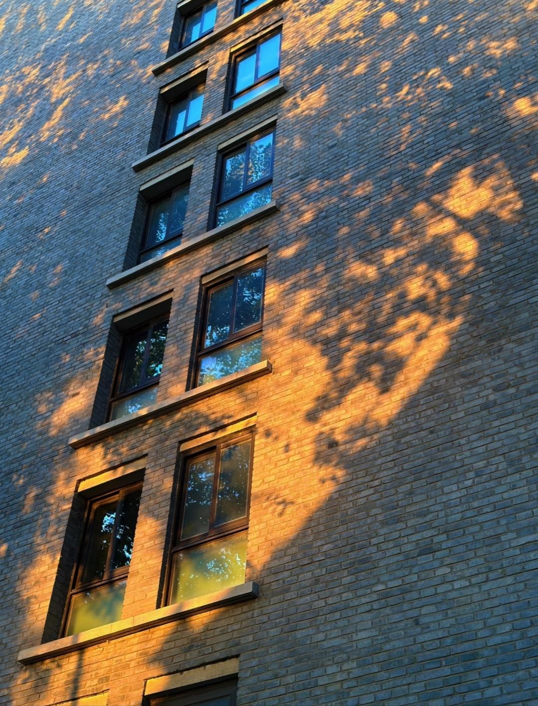 大学一周治愈仪式感：从绩点内卷到好好生活
 
⭐️周一 · 仪式感重启日
 
1