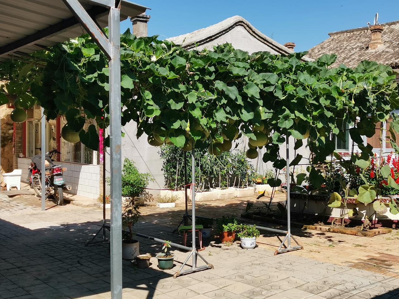 2026最想实现的一件事希望在2026年，我的头条和抖音，粉丝数量能增加1万，超