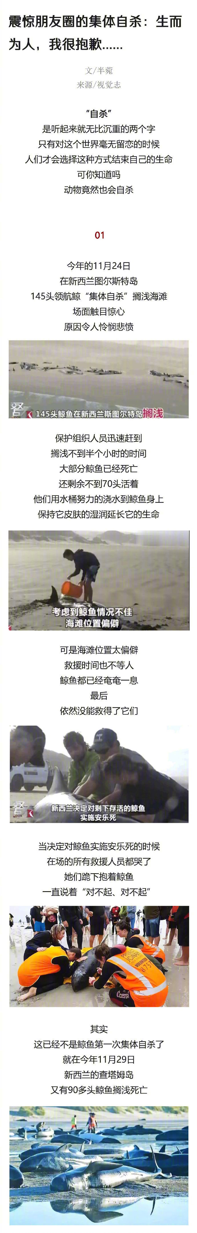 震惊朋友圈的集体自杀：生而为人，我很抱歉