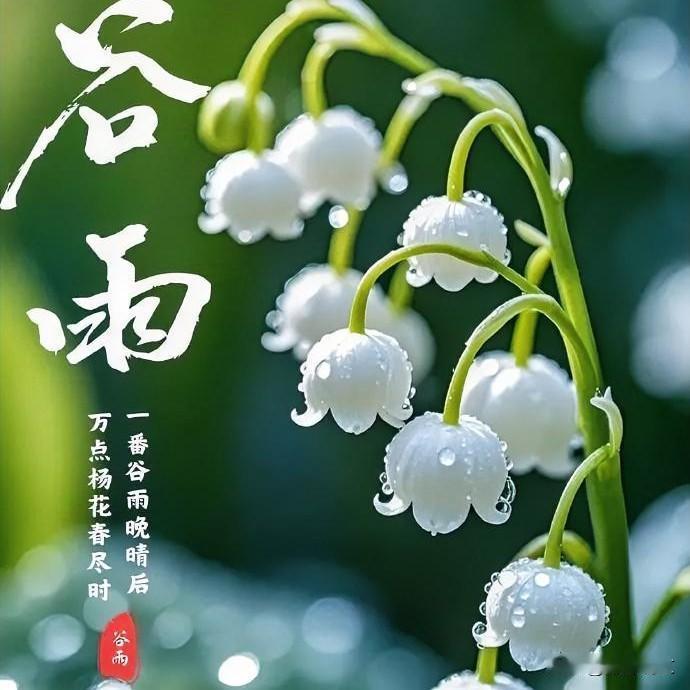 谷雨遇七龙治水四牛耕田，今年雨水多不多？老农说法很实在






今日谷雨，不