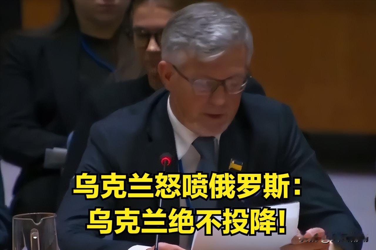 乌克兰常驻联合国代表怒喷俄罗斯：乌克兰绝不会投降！
在联合国大会上，乌克兰常驻联