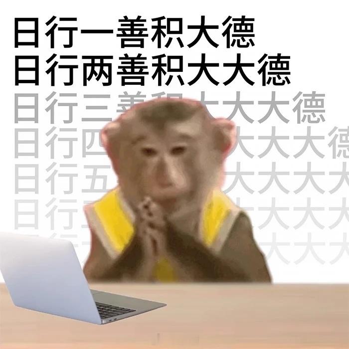 有几个yxh是真想上老嘉的大名单了叫安然和温打码两根老油条 心肝全部翻车还不消停