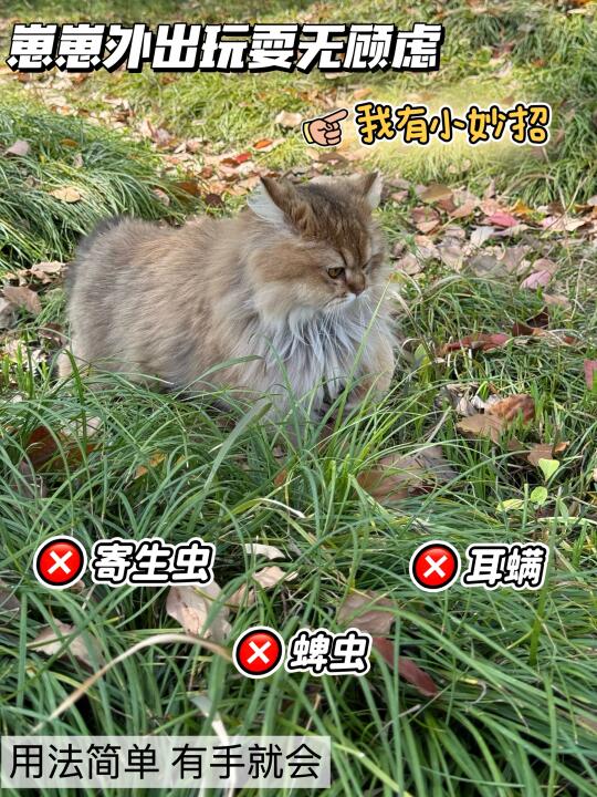 崽崽外出玩耍无顾虑 我有小妙招