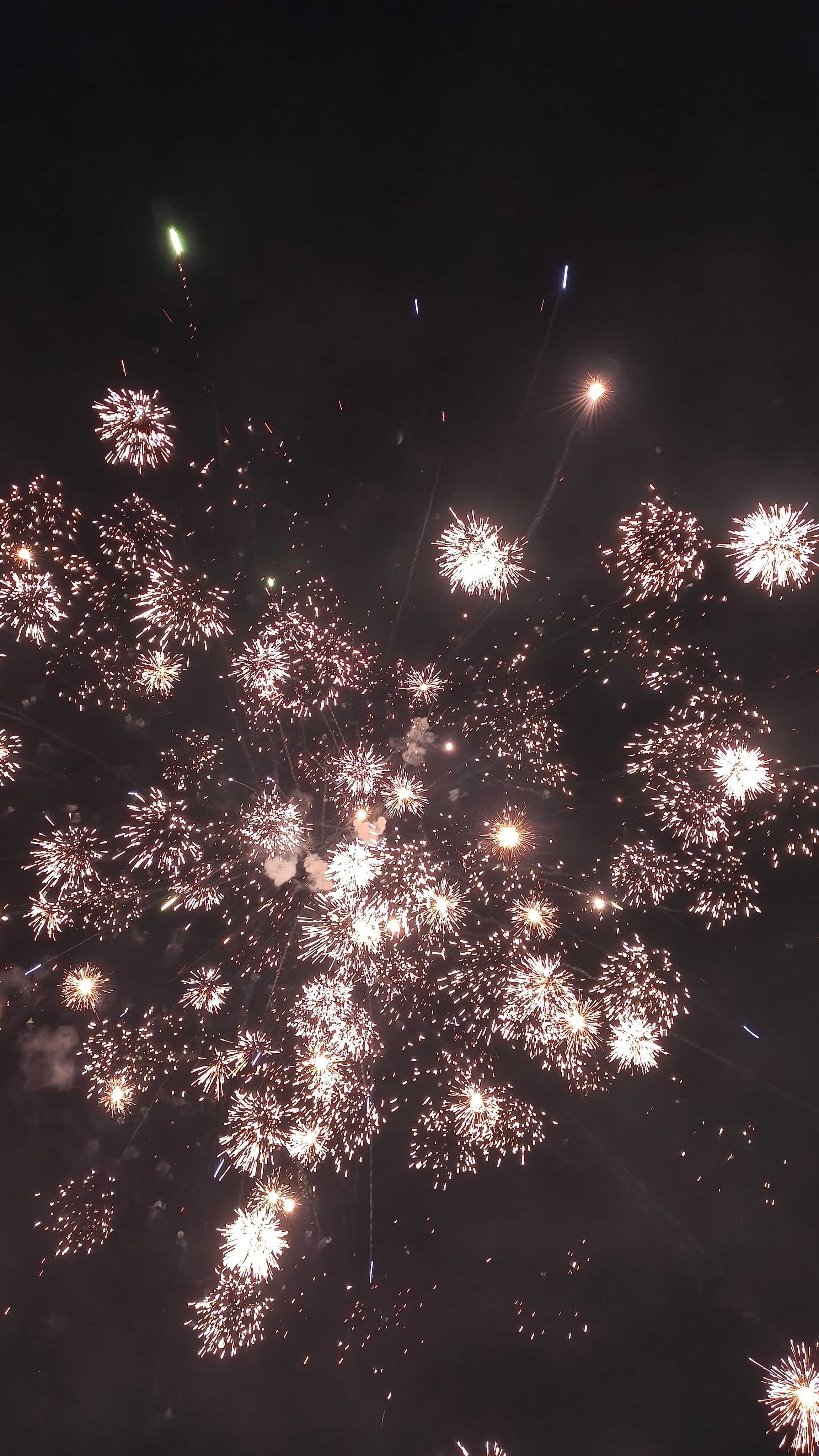 橘子夜聊 新年快乐小橘们