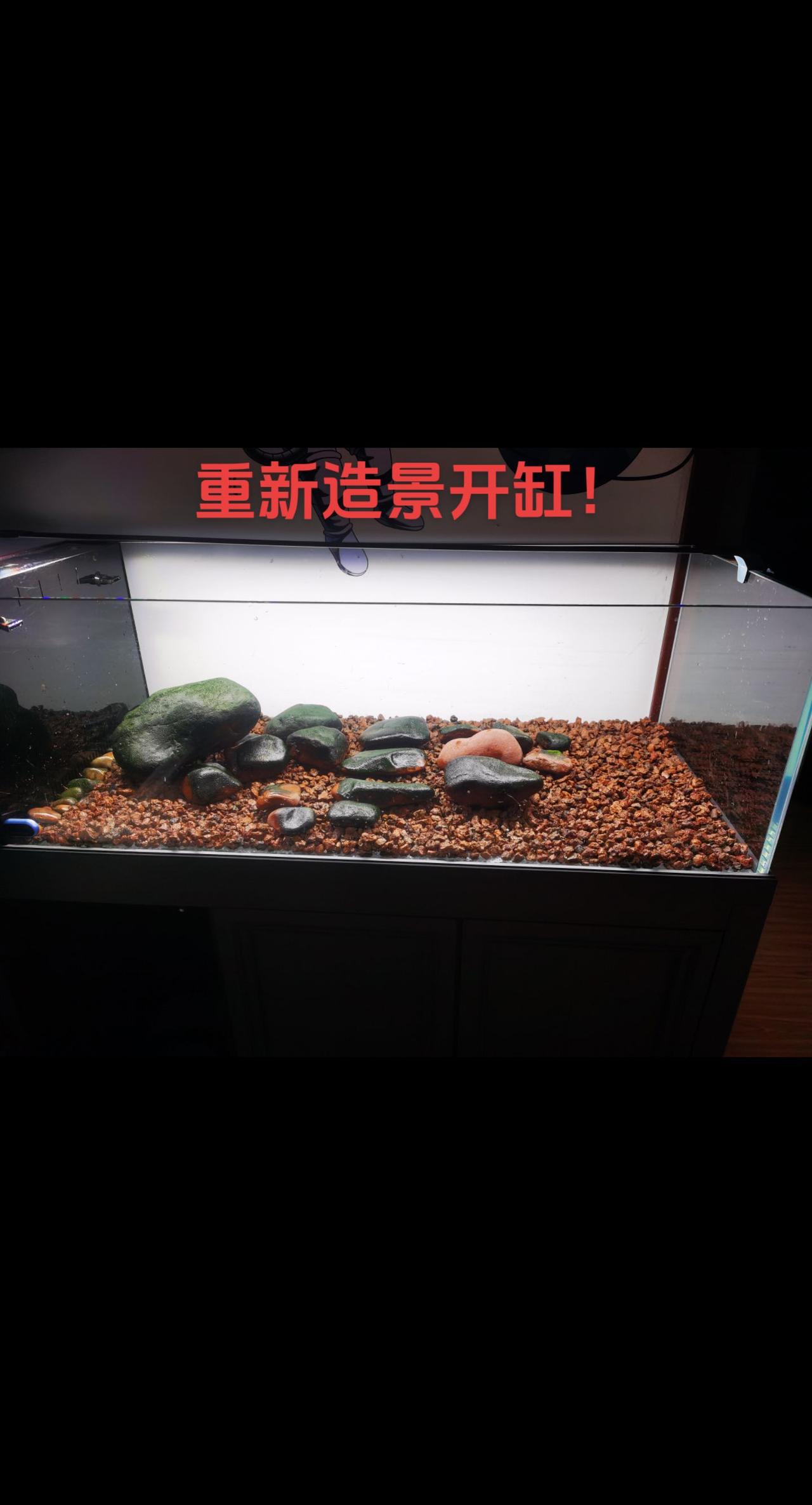 重新开缸需要多久？经过一天的折腾终于完成。。。改造了下过滤，我的高密度养鱼，希望
