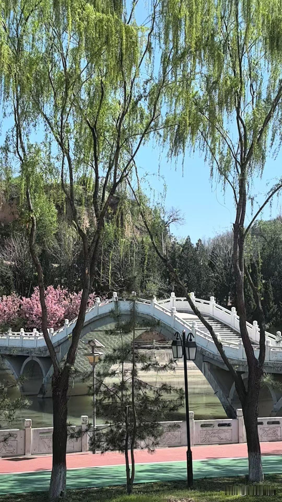 人一定要落叶归根吗？
 
笔者观点是：未必！
 
世人皆言落叶归根，
是刻在中国