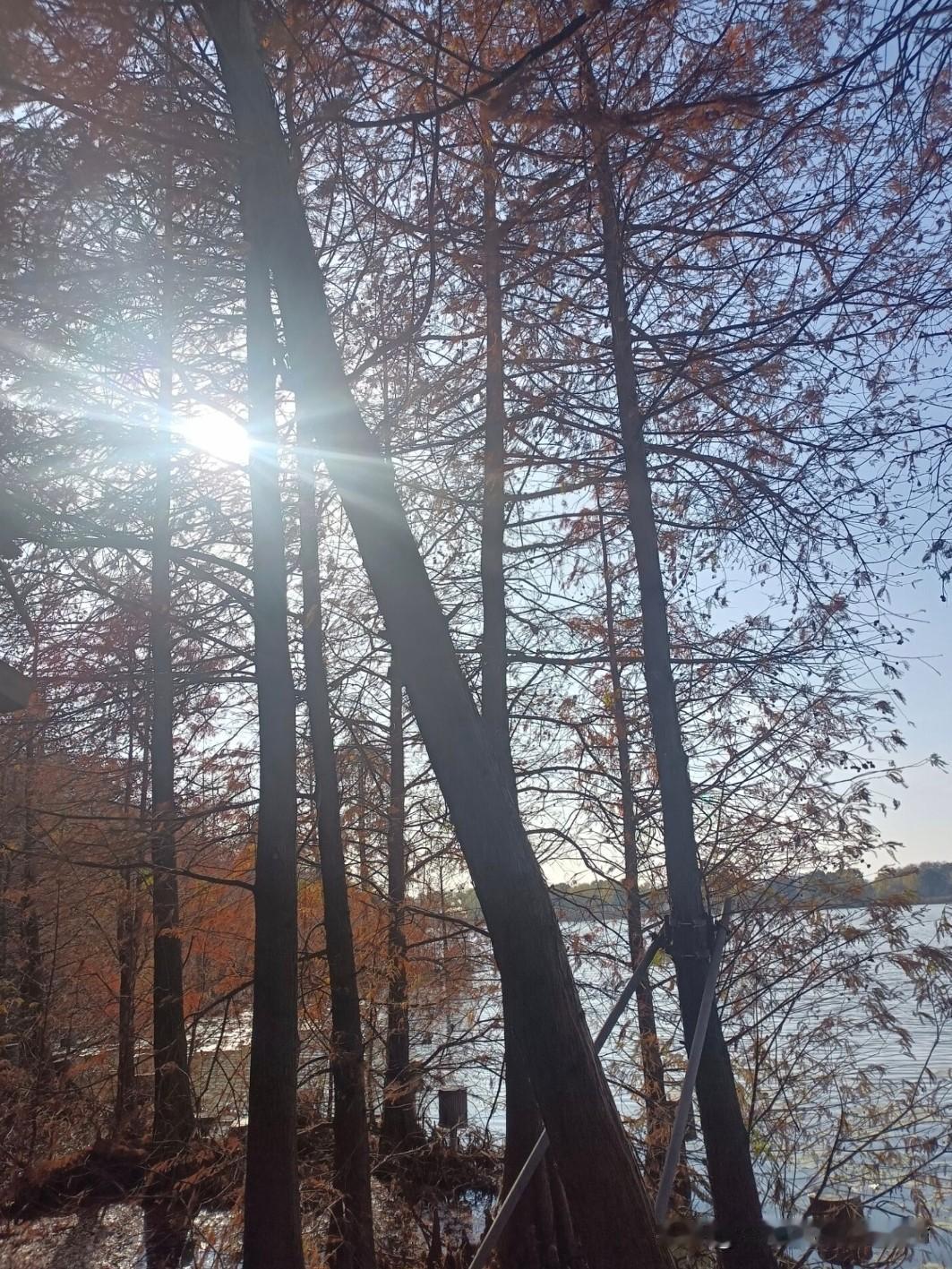 把人生过成自己想要的样子

       随着年龄增长我们会渐渐明白，人活着是给