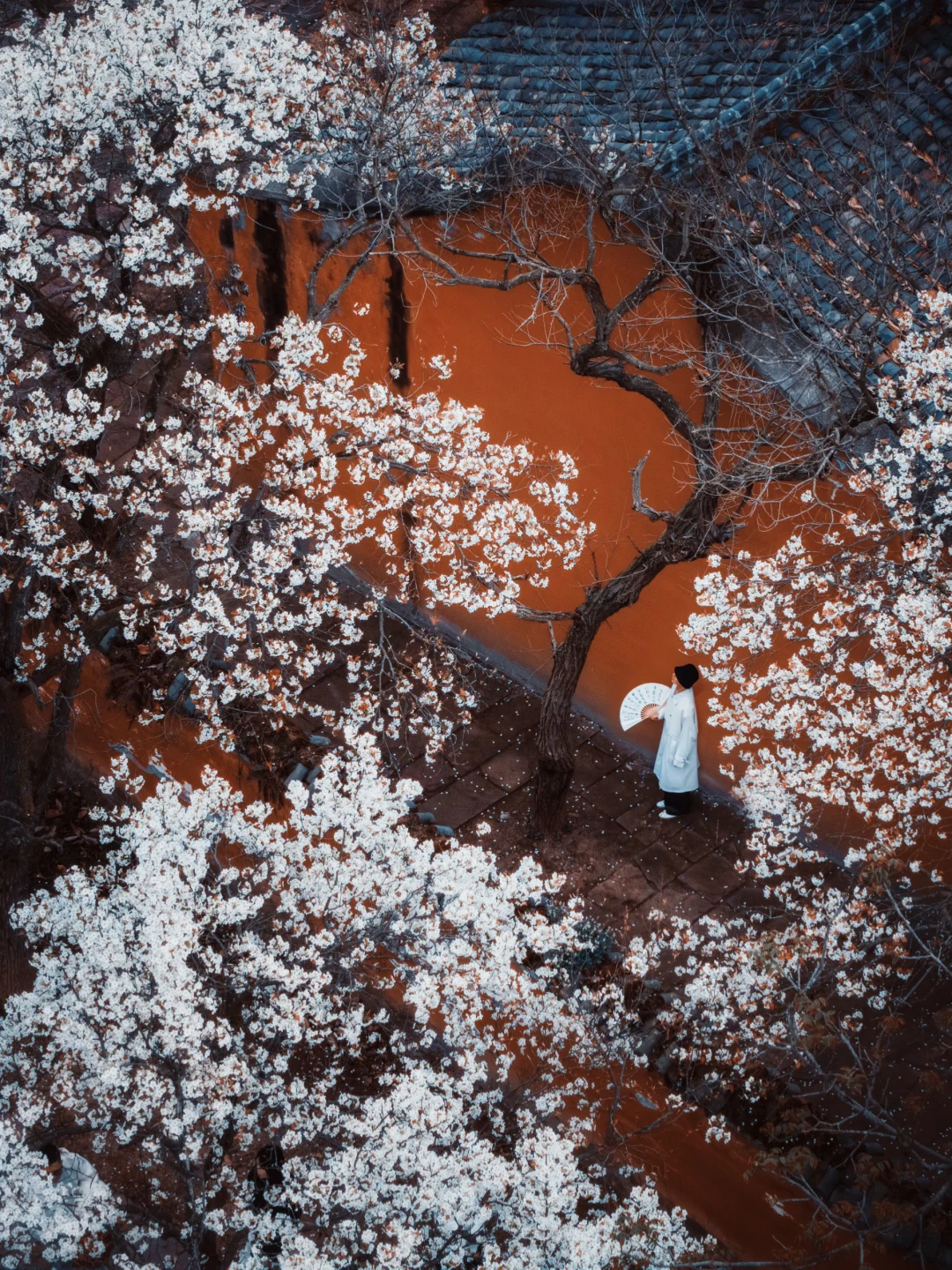 我很少用震撼形容一个古寺！直到来了这里！