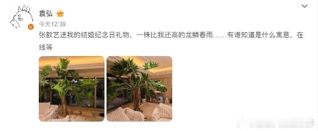 #张歆艺送袁弘结婚纪念日礼物# 哈哈哈哈哈哈，袁弘张歆艺太有意思了[哈哈]果然进