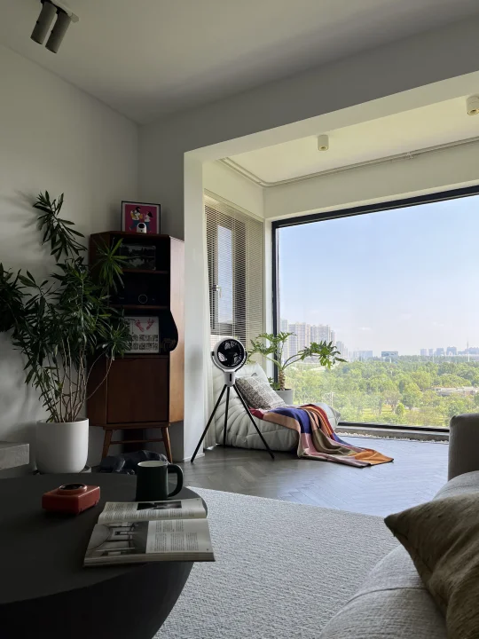 硬装基础，软装基础，搭配就不能再基础了