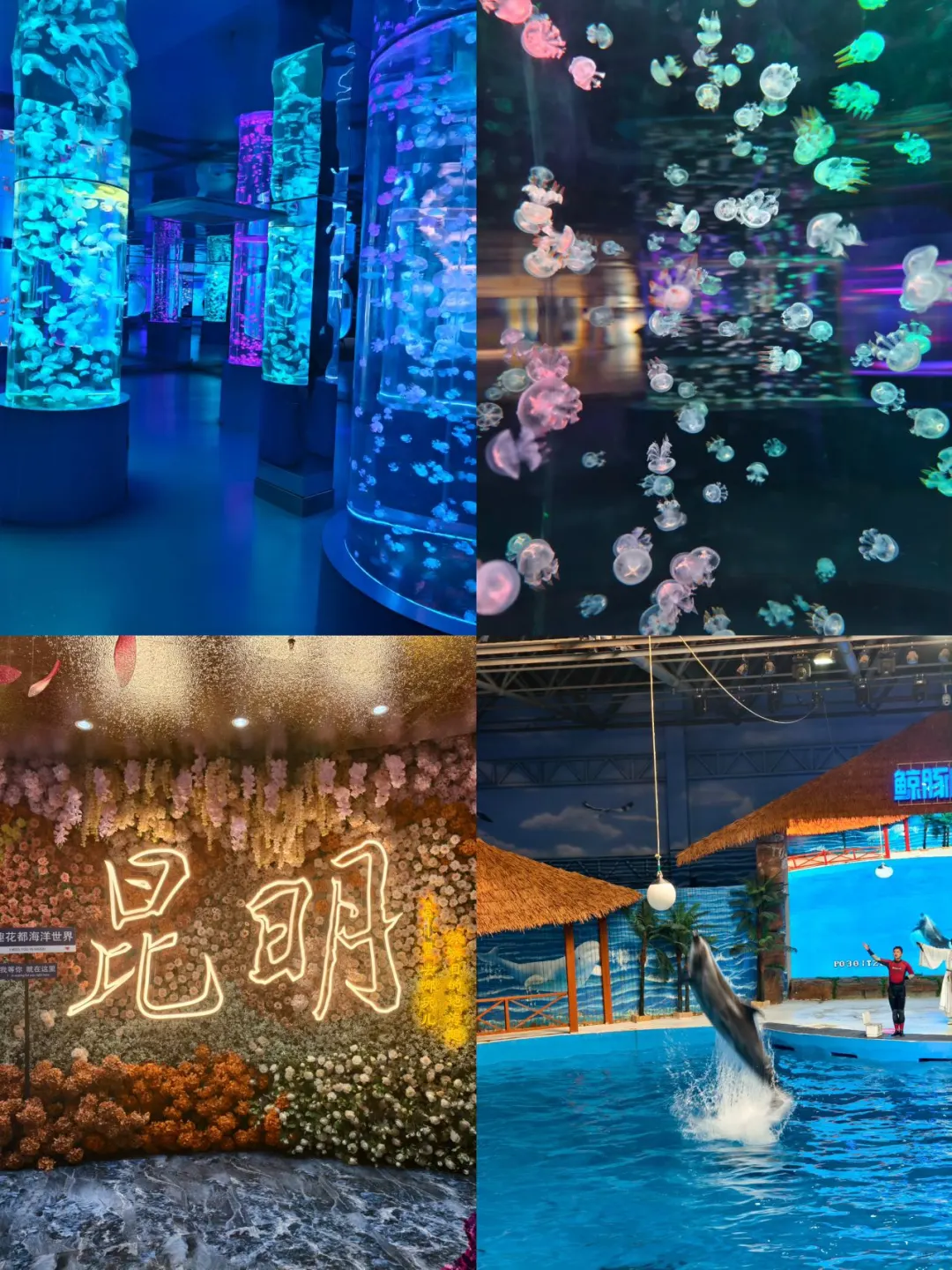 蛇年春节别乱跑，海趣花都海洋世界超有料