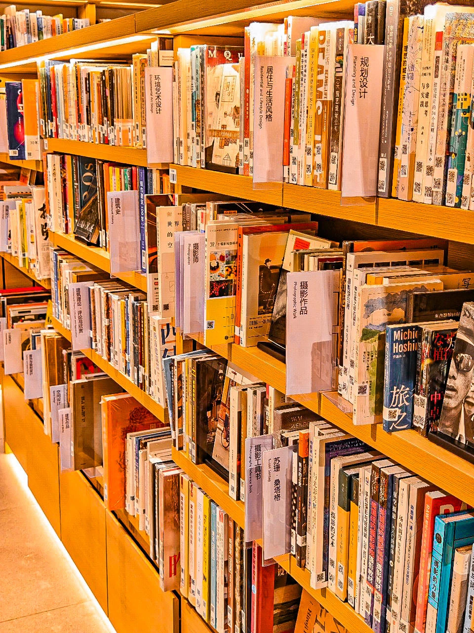 城市里的治愈花植咖啡市集✨被这家宝藏书店