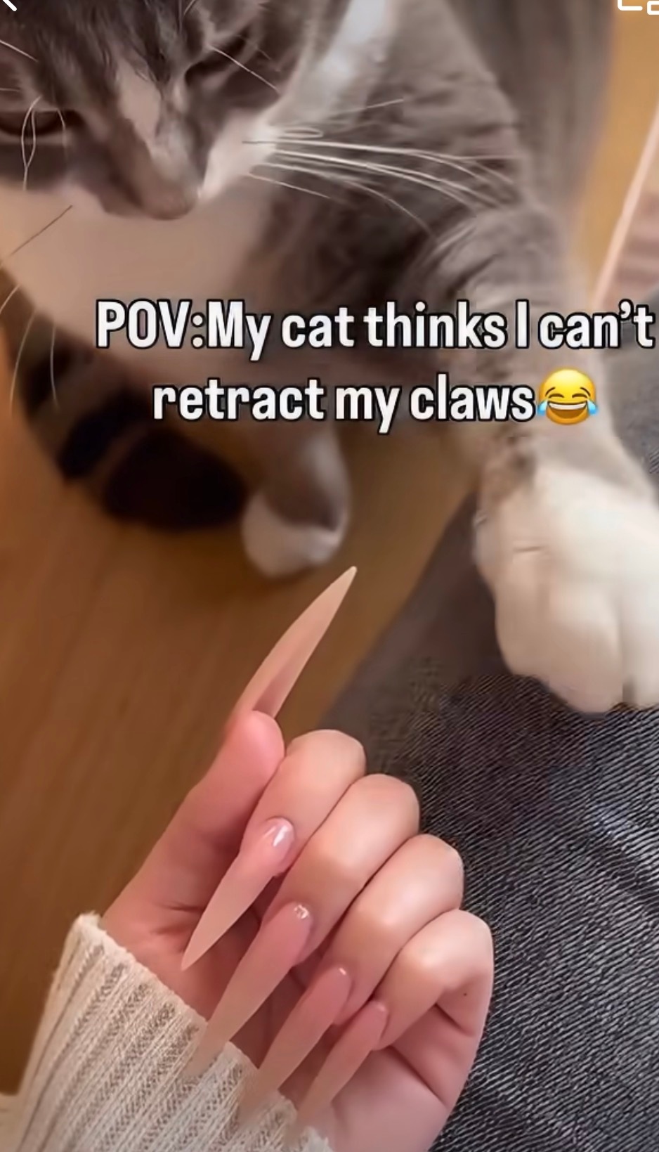 猫猫教我怎么收爪子猫：人看好了，本喵只交一遍！ 