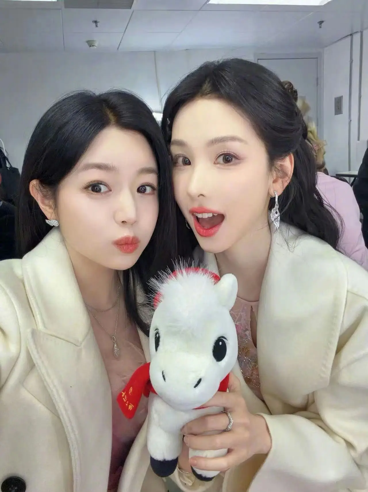 俩只🐰