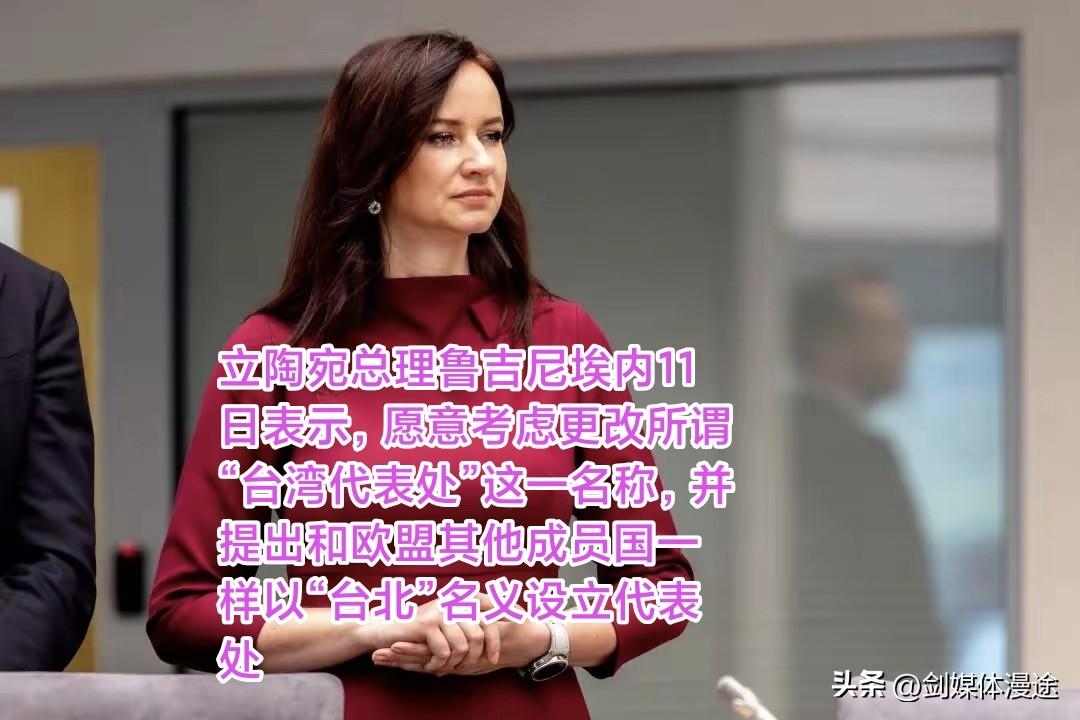 立陶宛“撕破脸了”要求台湾兑现承诺对立陶宛更多的投资！否则：如果不增加更多的投资