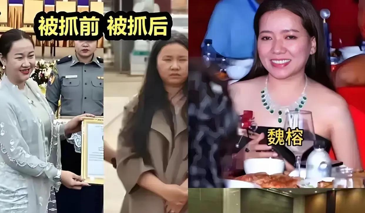 魏榕今晚指定睡不着！明珍珍刚判死刑，全网都把目光锁在她这个在逃“女魔头”身上。