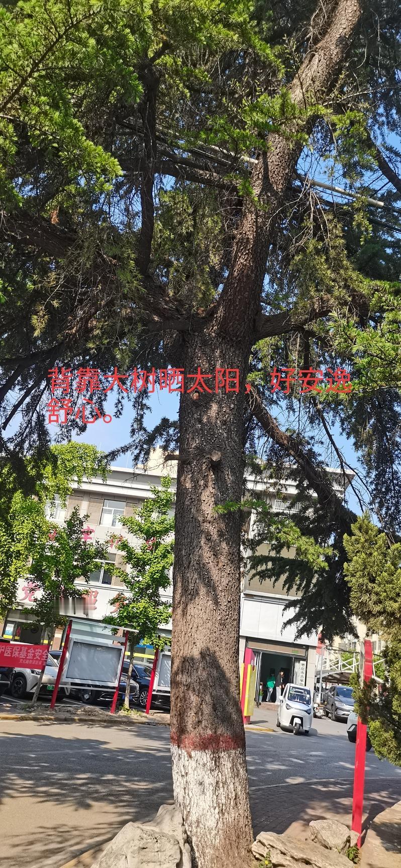 断更了一周，不想写了，有一种江郎才尽的感觉。

可又不忍和友友们分开，忙中偷闲时